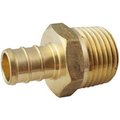 Apollo Valves 3/4 Mpt X 1/2 Barbed Pex APXMA3412